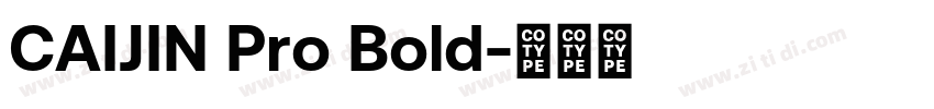 CAIJIN Pro Bold字体转换